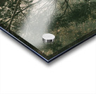 Woodland Dramatics Acrylic print