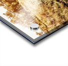 Summer Escape Acrylic print