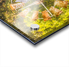 Old Water Windmill  Acrylic print