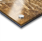 Ideraway Rail Crossing Acrylic print