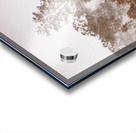 Misty Beauty Acrylic print