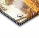 Country Golden Acrylic print