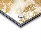 Branch Creek Magic Acrylic print