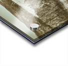 Upland Rusticity Acrylic print