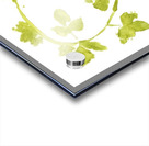 Vine Twist Acrylic print