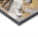 Studio Mix Acrylic print