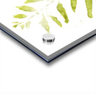 Painted Gum Acrylic print