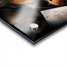 Strings And Songs Acrylic print