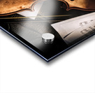 Passions In Play Acrylic print