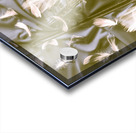 Feather n Fiddle Acrylic print