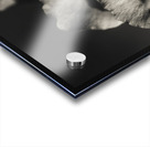 Beauty And Atmosphere Acrylic print