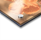 Wildflower Wonders Acrylic print