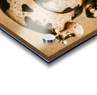 Barn Farmplay Acrylic print