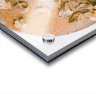 Falls Gold Acrylic print