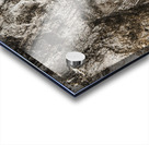 Shaped By Weather And Time Acrylic print