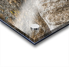 Schist Form Acrylic print