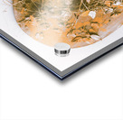 Autumns Palette Acrylic print