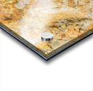 Flecks And Specks Acrylic print