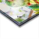  Australian King Parrot Acrylic print