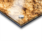 Rich And Vibrant Acrylic print