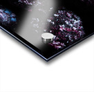 Deep Freeze Acrylic print