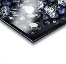 Blueberry Cool Acrylic print