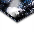 Drinks In Detail Acrylic print