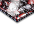 On Ice Acrylic print