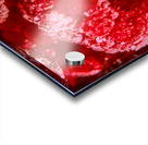 Raspberry Macro Photography Acrylic print