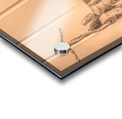 Stage Craft Acrylic print