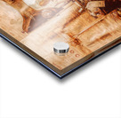 Dressmaker Dreams Acrylic print