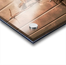 Circus Sew Lair Acrylic print