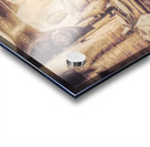 Fabrications Acrylic print