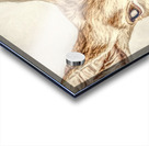 Country Lookout Acrylic print