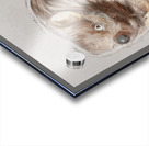 A Play On The Outbacks Acrylic print