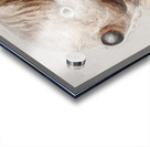 Wombat Quirk Acrylic print