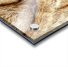 Rustic Country Calm Acrylic print