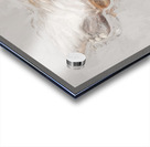 Playful Platypus Acrylic print