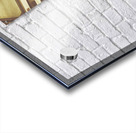 Playback Acrylic print