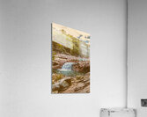 Bushland oasis Acrylic Print