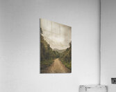 Vintage Australian landscape. Rosebery Tasmania Acrylic Print