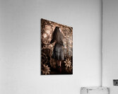 Fairy tale girl walking through secret garden Acrylic Print