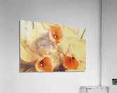 Toned vintage spring daffodils Acrylic Print