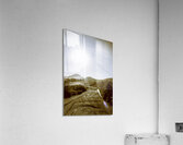 Dirt roads of outback Tasmania Acrylic Print