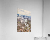 Verticity Acrylic Print