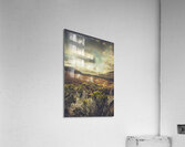 Retro scenic wilderness Acrylic Print