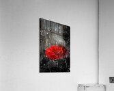 Gone with the rain Acrylic Print