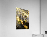 Military mechanics Acrylic Print