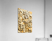 Natural composition  Acrylic Print