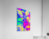 Rainbow radiance Acrylic Print